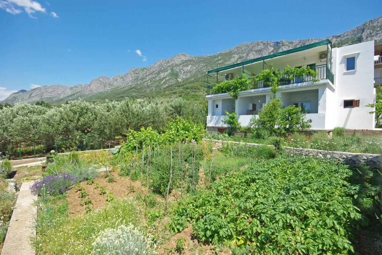 Apartmani Maslina Gradac  Exterior photo